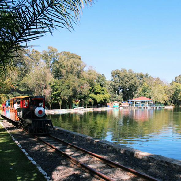 Parque Zoológico Benito Juárez 